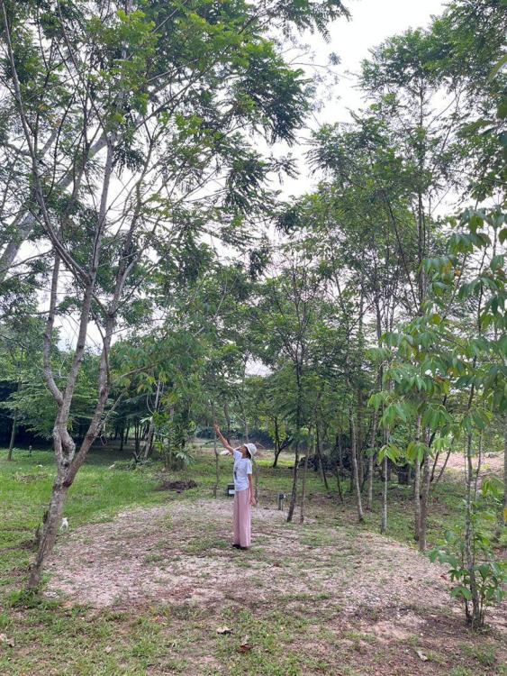 De Sunny Farm and Resort | Escabee.com