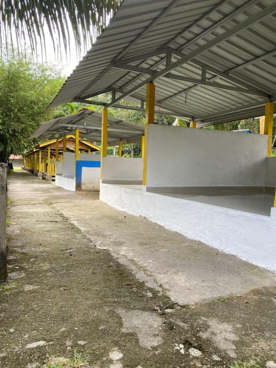 Bamboo Camp | Escabee.com
