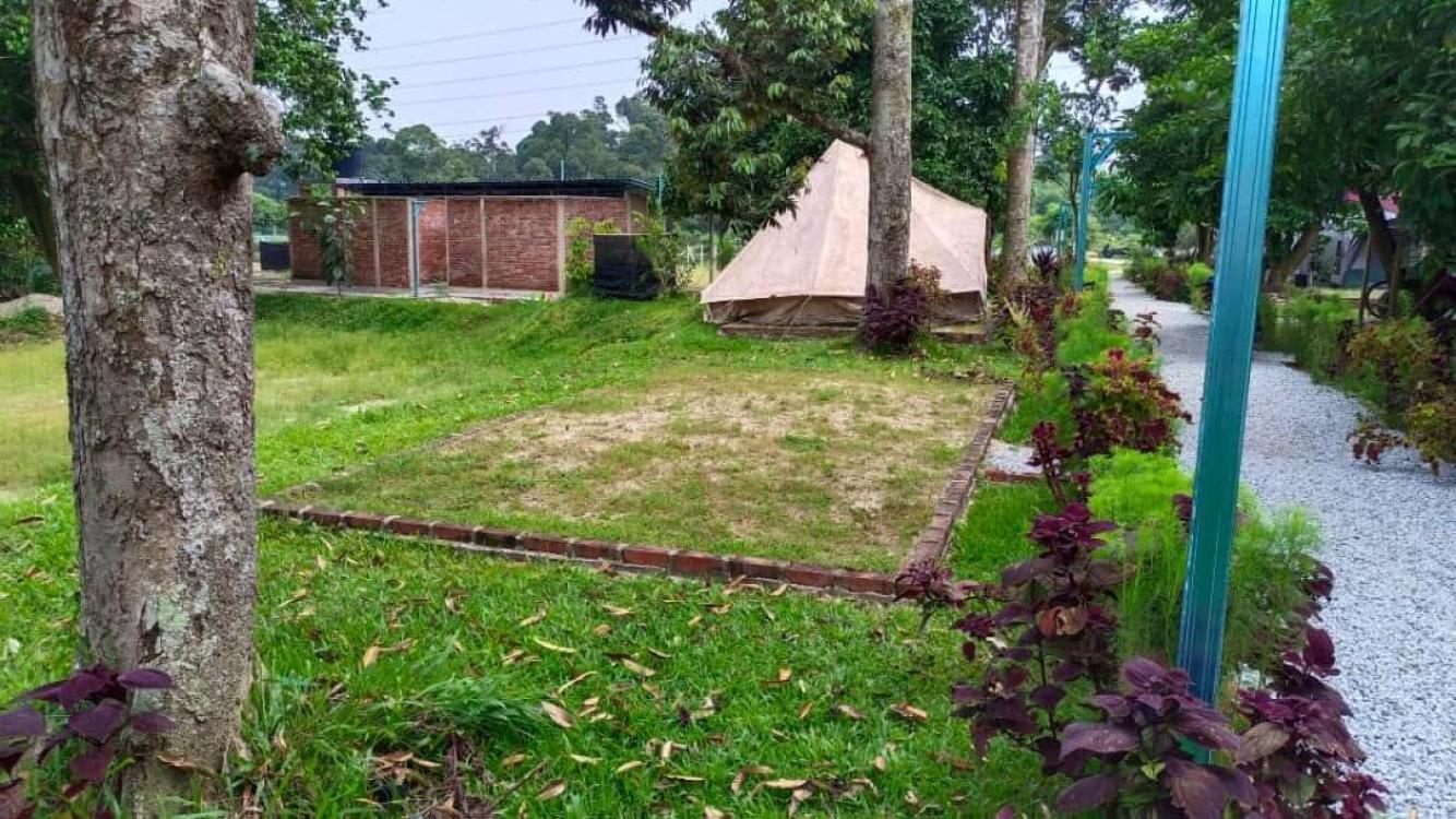 Kebun Chenta | Escabee.com
