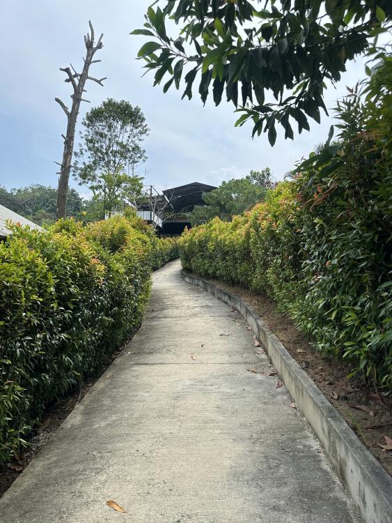 Rasa Hill | Escabee.com
