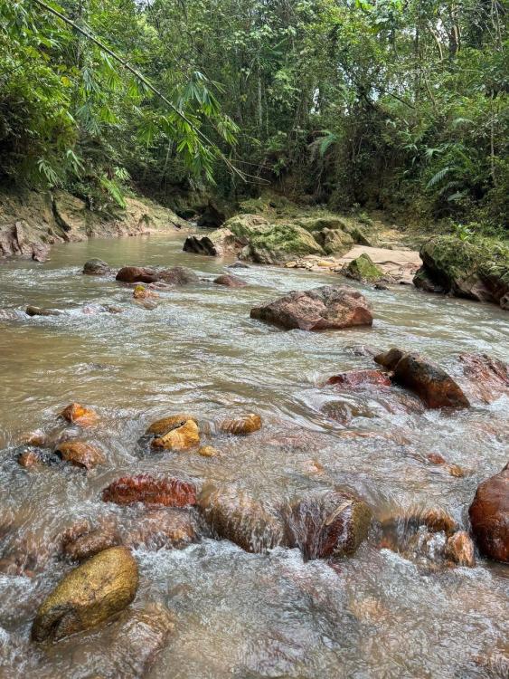 Hilir Hening Glamping and Camping | Escabee.com