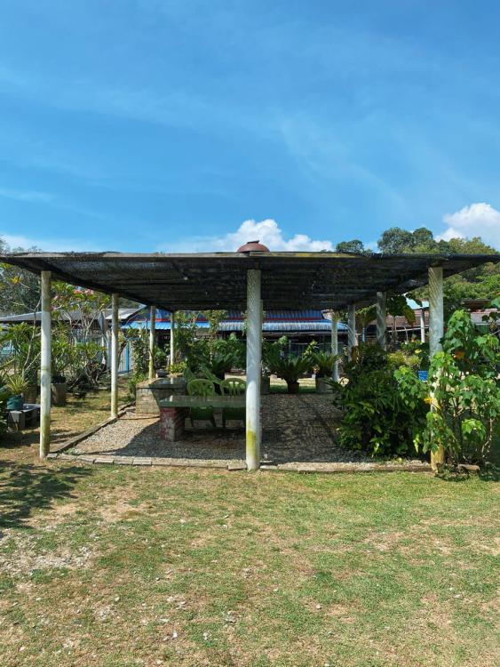 Seaside Campsite Cherating | Escabee.com