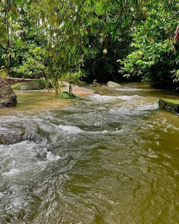 Rimba Jelai Cabin & Wild Camping | Escabee.com