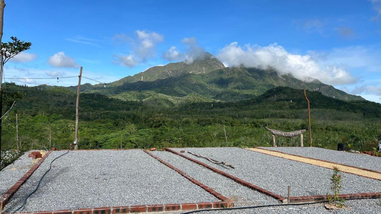 Pahat Hill Campsite | Escabee.com