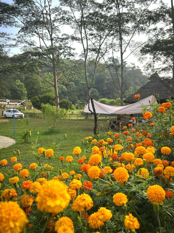 Bentong Happy Farm | Escabee.com