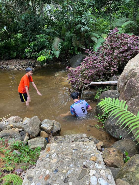 Jerai Nature Glamping | Escabee.com