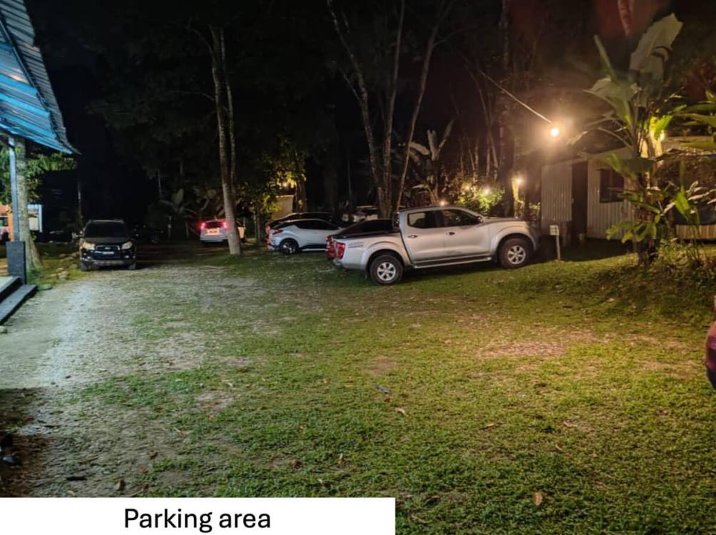 Gopeng Tree Tent | Escabee.com