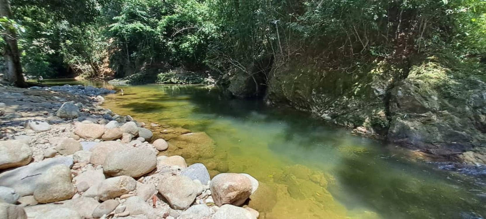 Tok Bak Campsite | Escabee.com