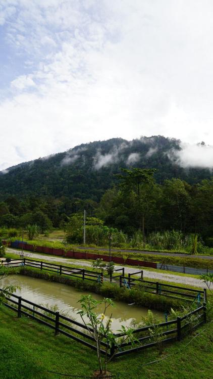 Uncle JO Retreat | Escabee.com