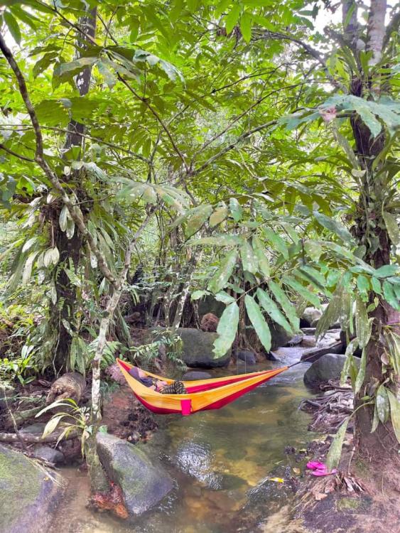 Draco Nature Camp | Escabee.com