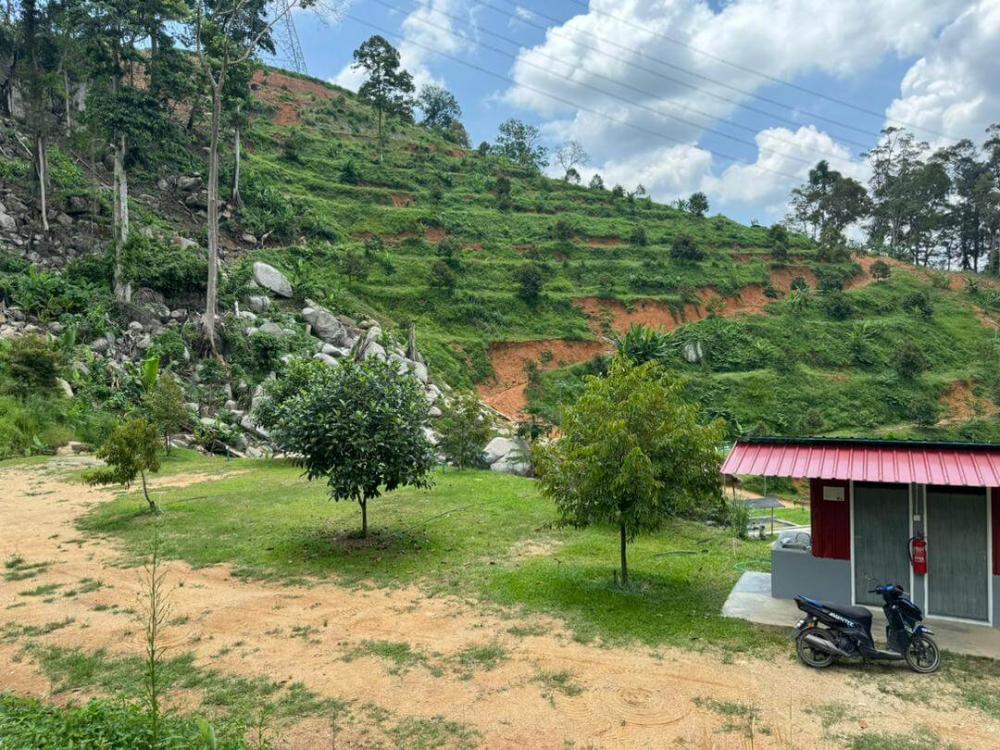 Dusun Dz | Escabee.com