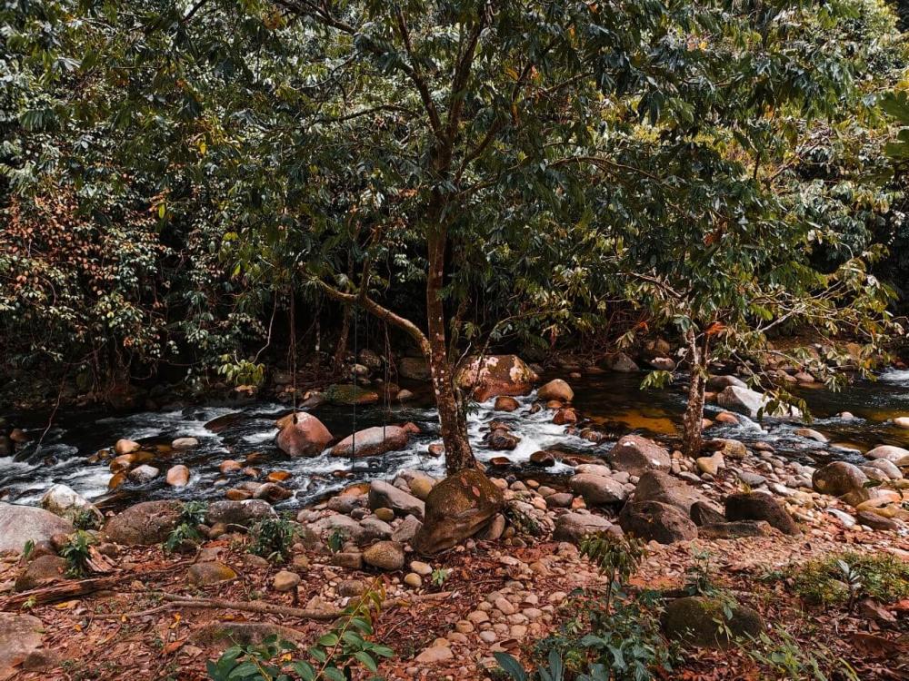Laman Rindu Campsite, Sg Bil | Escabee.com