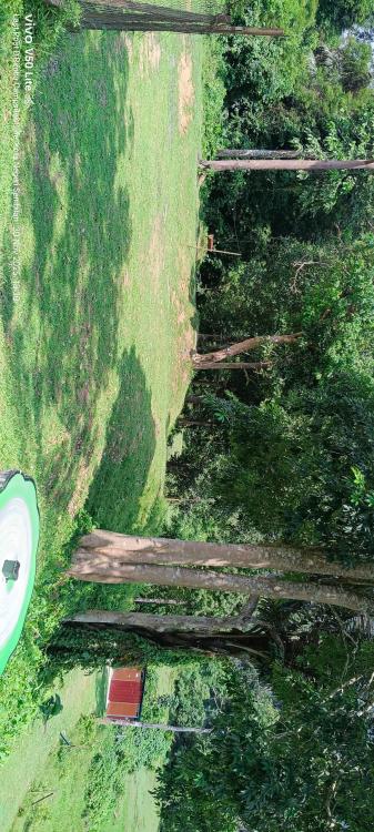 Last Post D'Rimba Campsite & Kafe | Escabee.com