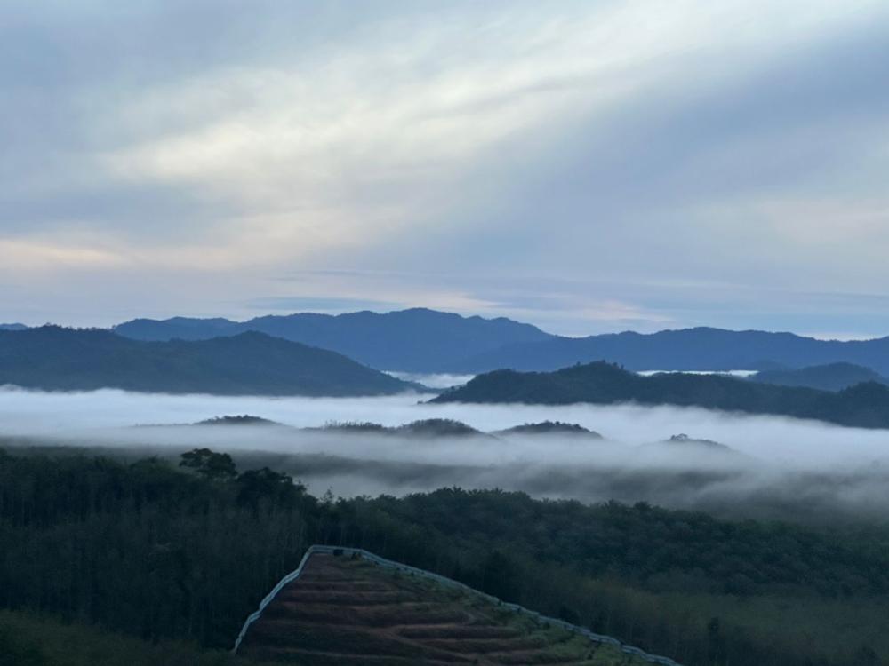 Saraphi Campsite And Homestay | Escabee.com