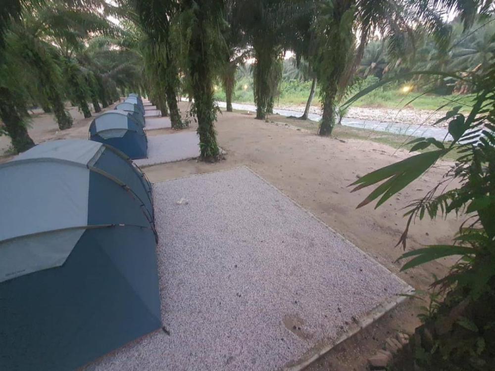 Rex Campsite | Escabee.com