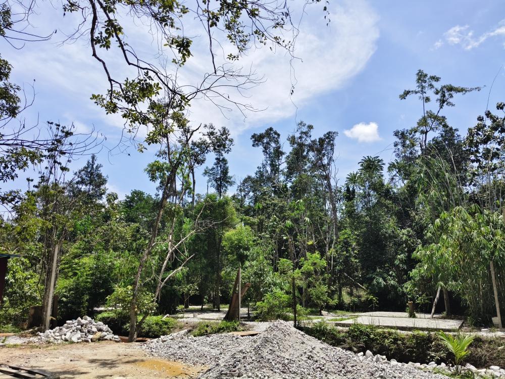 Lost Village | Escabee.com