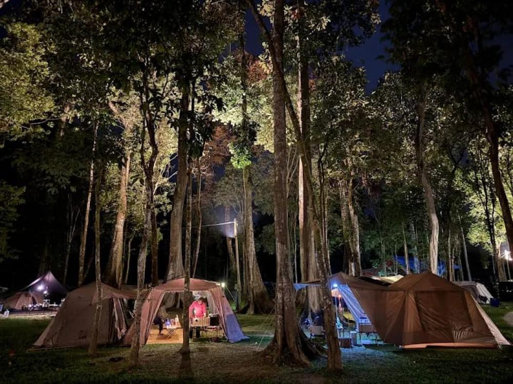 Forest 8 Senses | Escabee.com