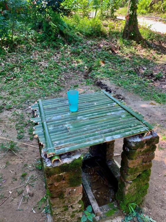 Rimba Jelai Cabin & Wild Camping | Escabee.com