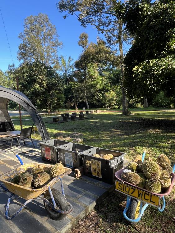 Kuala Kubu Road Campsite | Escabee.com