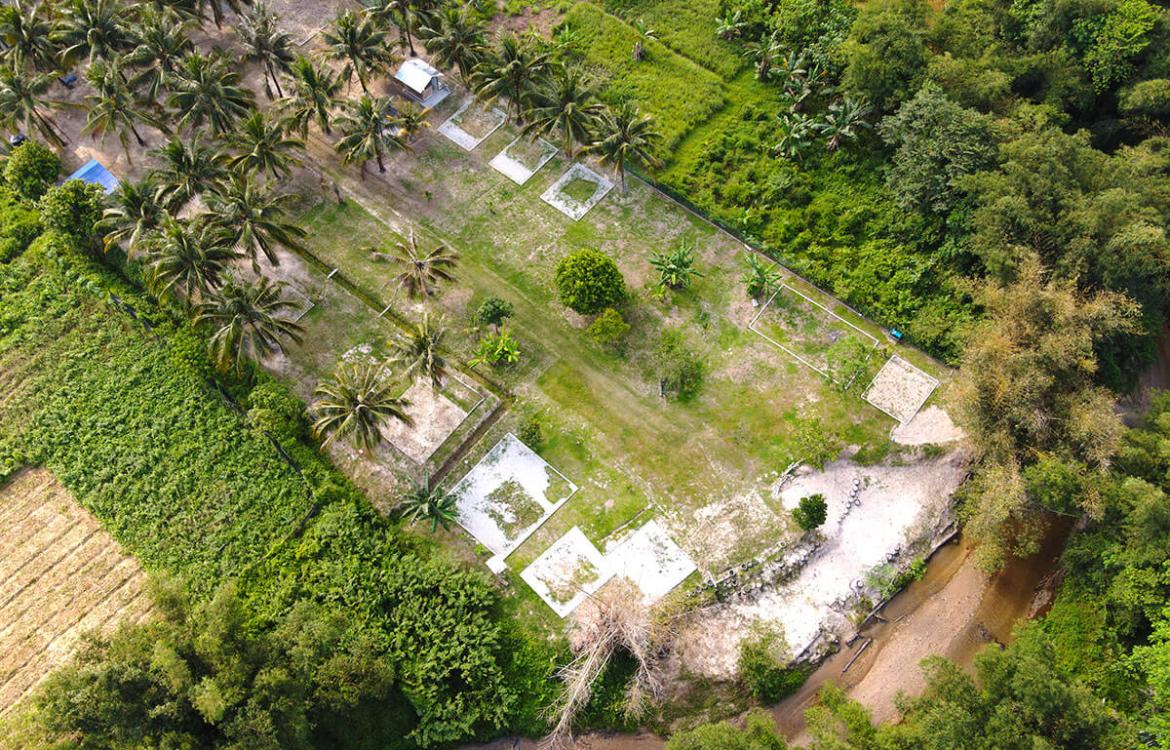 D'Nyiur Campsite | Escabee.com