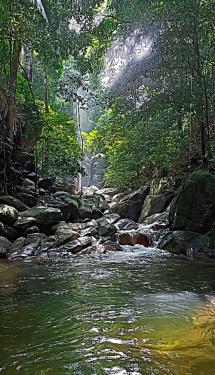 Last Post D'Rimba Campsite & Kafe