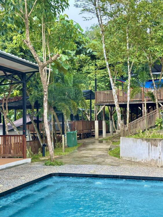 Rasa Hill | Escabee.com