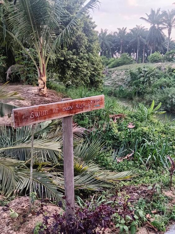 Laman Eden Campsite Kepis | Escabee.com