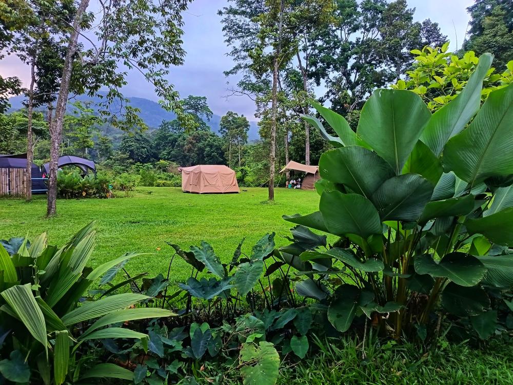 Masha And The Bear Garden & Campsite, Ulu Sepri | Escabee.com