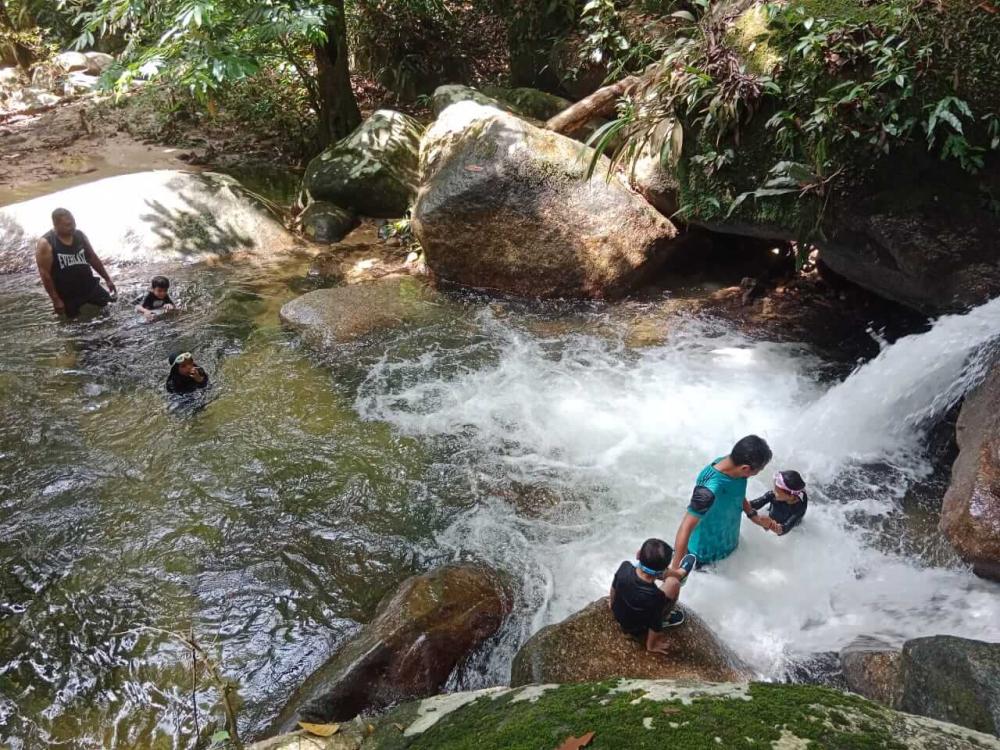 Draco Nature Camp | Escabee.com
