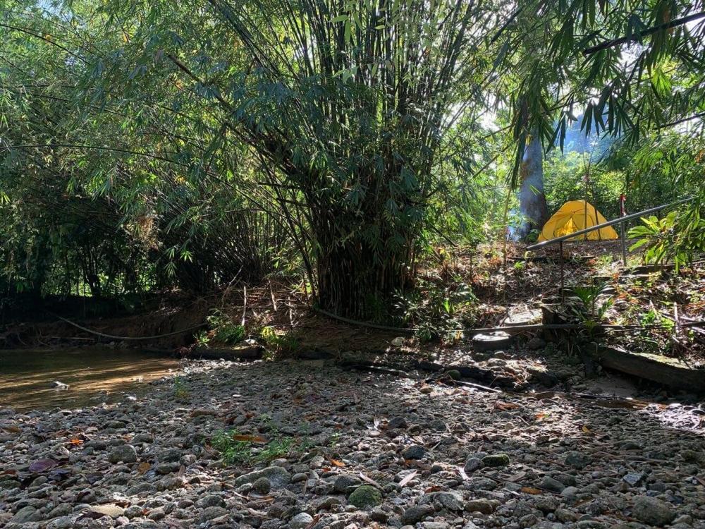 Rimba Jelai Cabin & Wild Camping | Escabee.com