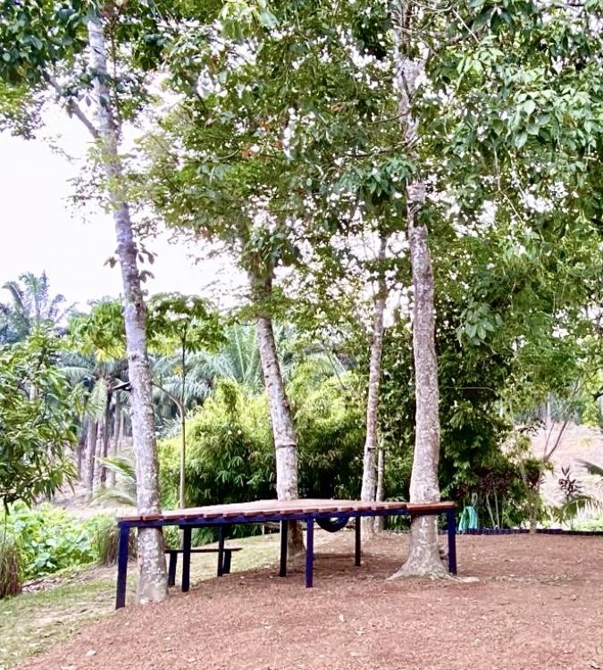 Laman Eden Campsite Kepis | Escabee.com