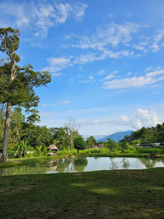 SIR Camping Site | Escabee.com