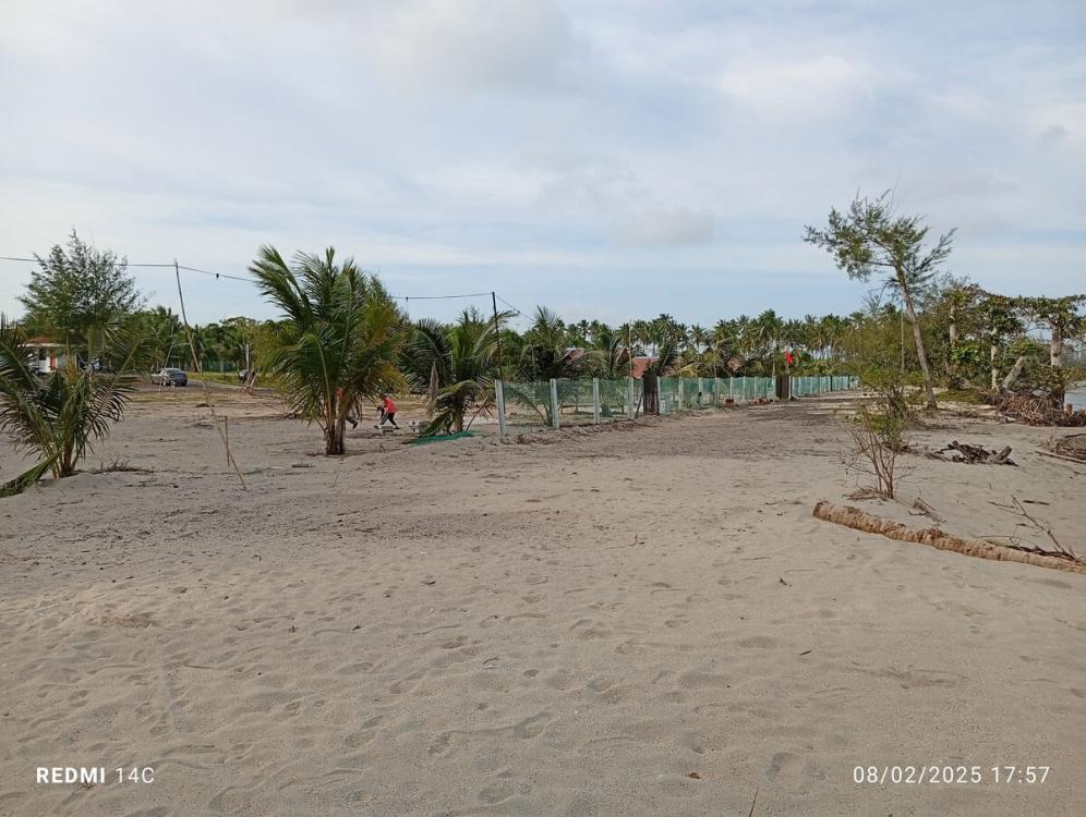 D'Zaitun Campsite photo 2