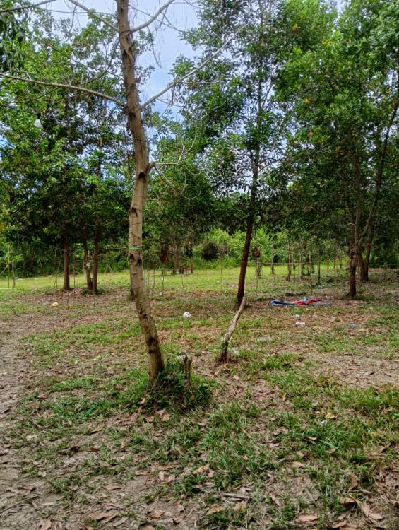 Campsite Alor Pasir | Escabee.com