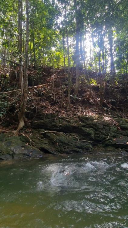 Port Rahsia Campsite | Escabee.com