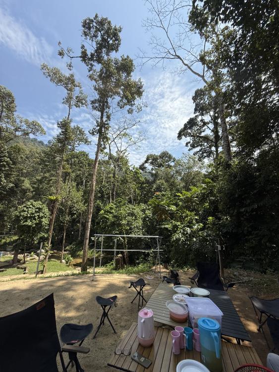 Seven Beret Campsite & Survival Village | Escabee.com