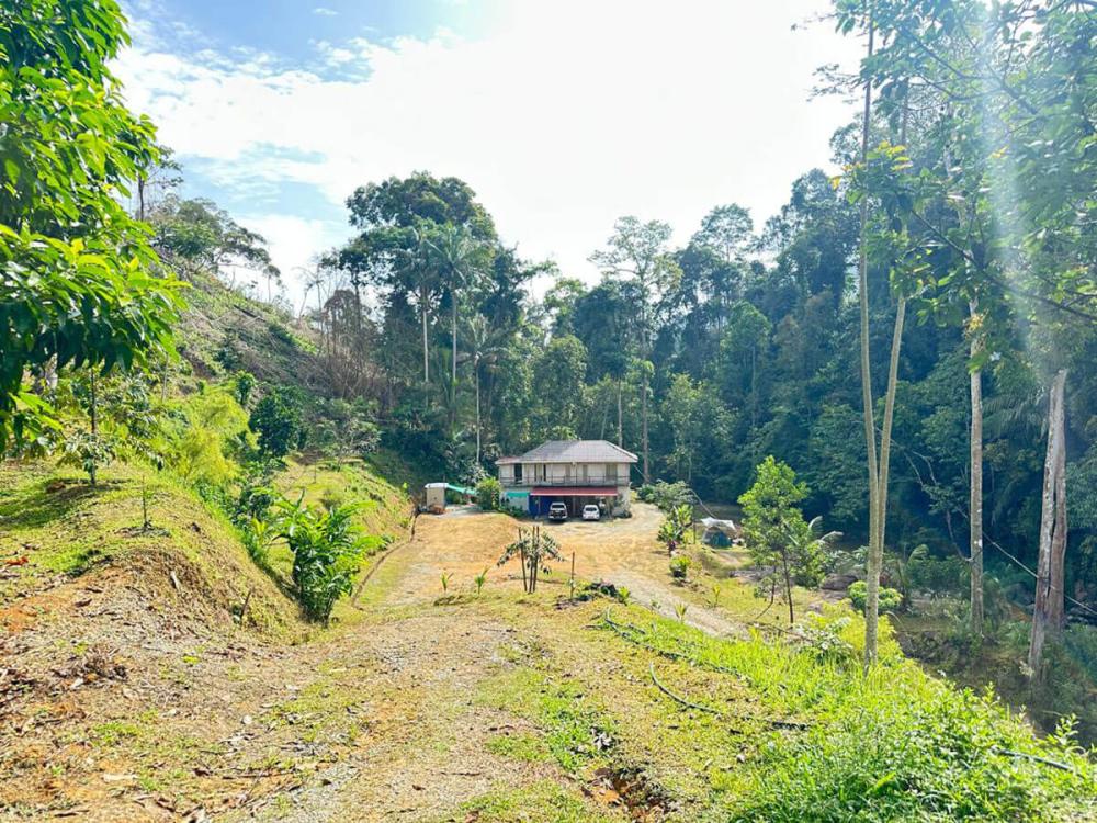 Tanah Chik | Escabee.com