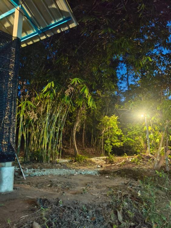 Lost Village | Escabee.com