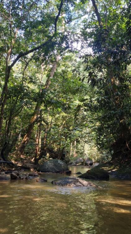 Port Rahsia Campsite | Escabee.com