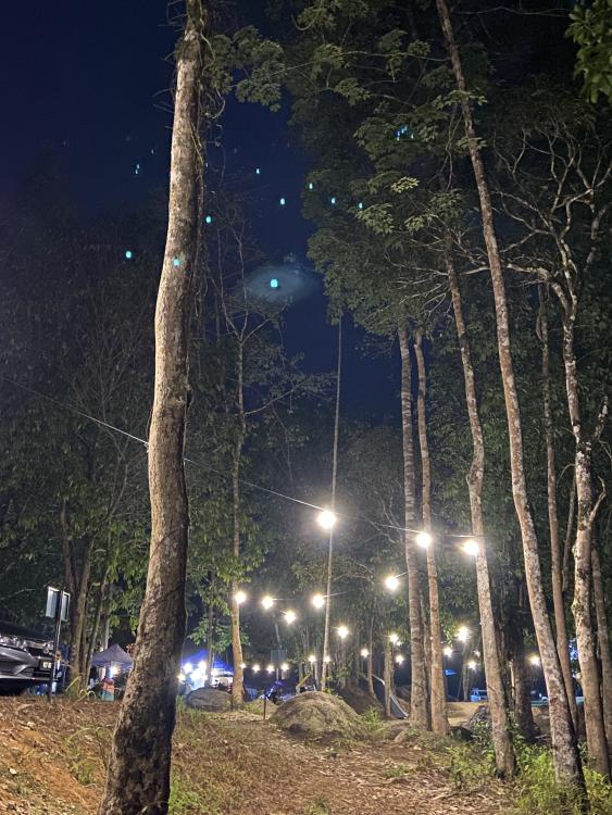 D'Rambong Glamping Park & Campsite | Escabee.com