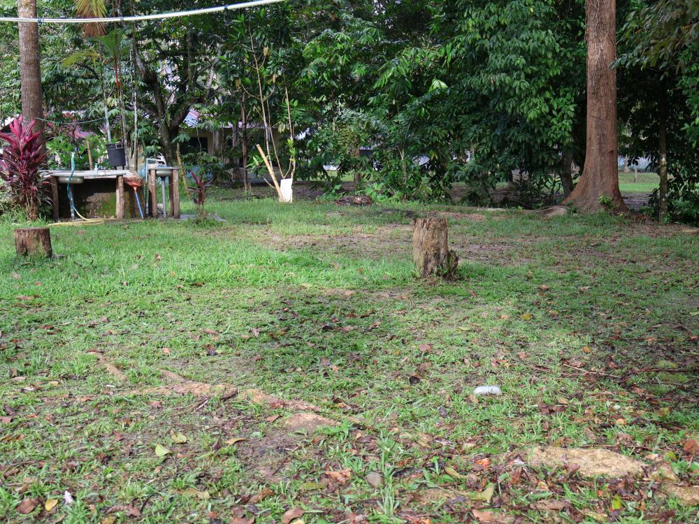 Ecotouria Sungai Congkak | Escabee.com