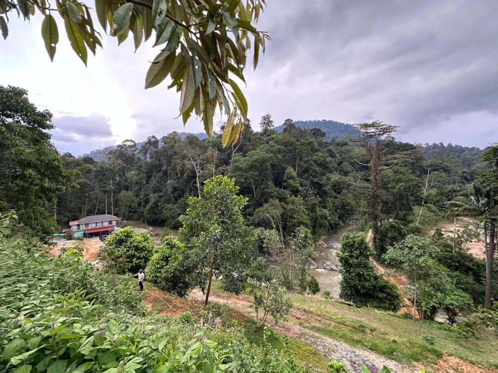 Tanah Chik | Escabee.com