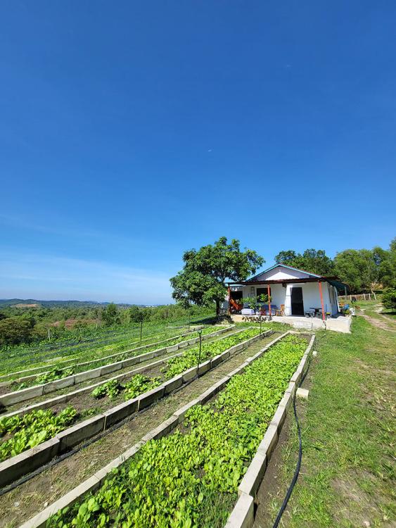 Happy Harvest Campz | Escabee.com