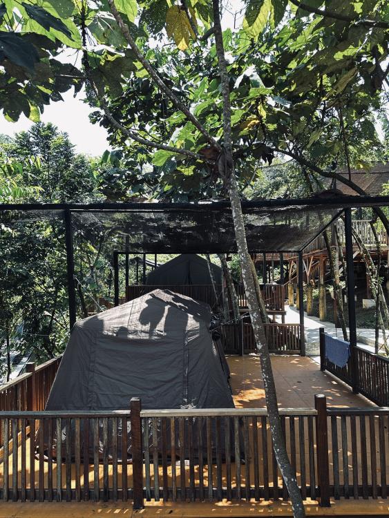 Rasa Hill | Escabee.com