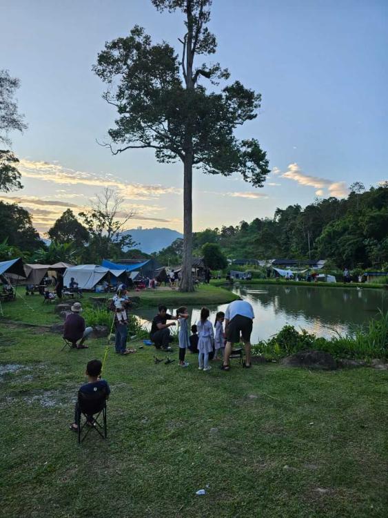 SIR Camping Site | Escabee.com