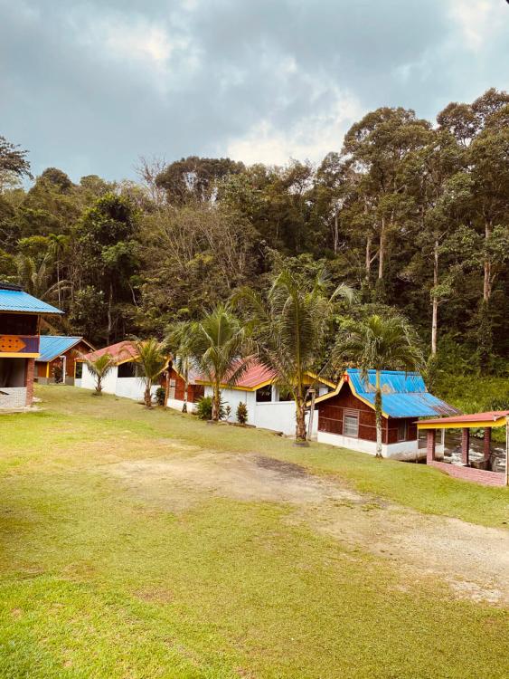 Bamboo Camp | Escabee.com