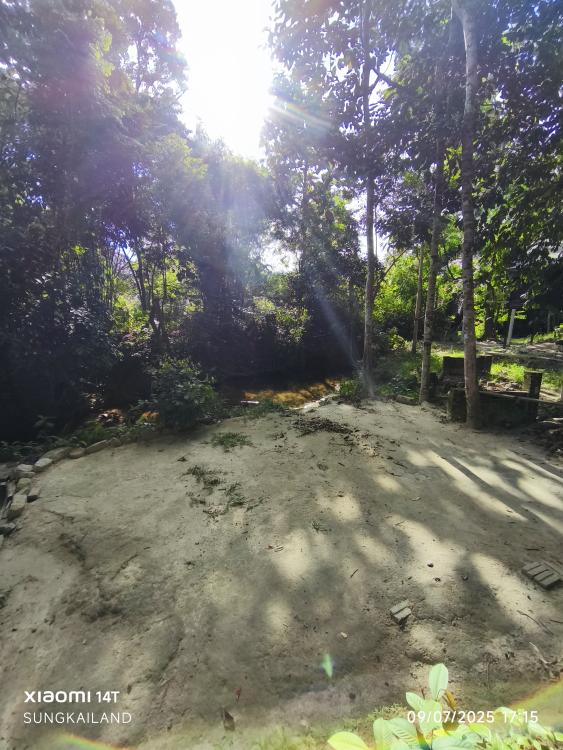 Sungkailand | Escabee.com