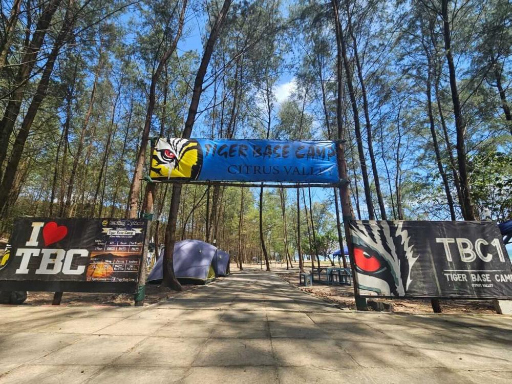 Tiger Base Camp | Escabee.com