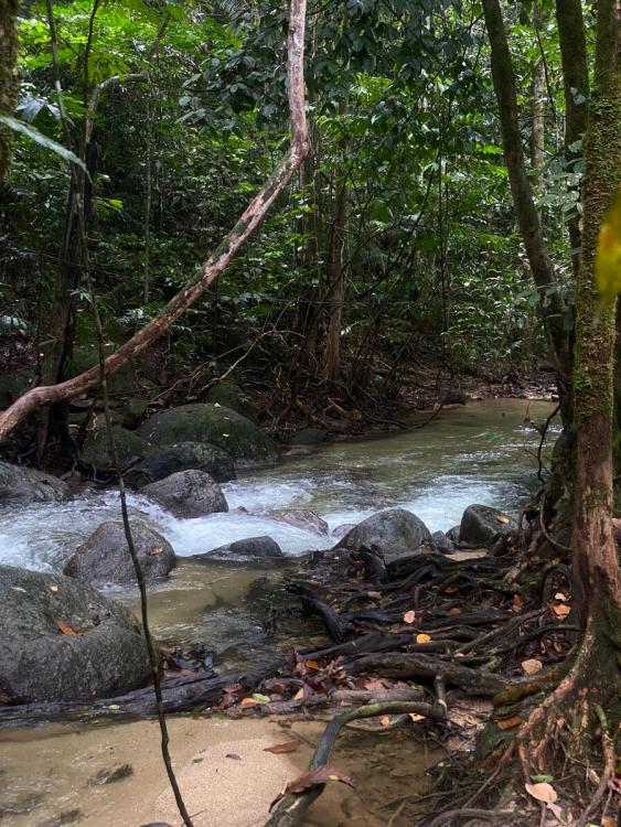 Tupai Emas Campsite | Escabee.com