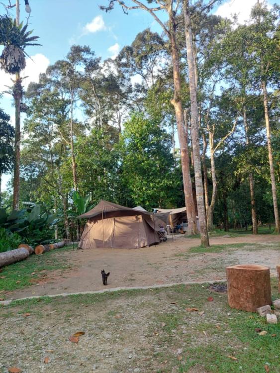 Campsite Atok Am | Escabee.com